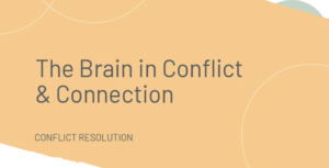 The Brain in Conflict & Connection